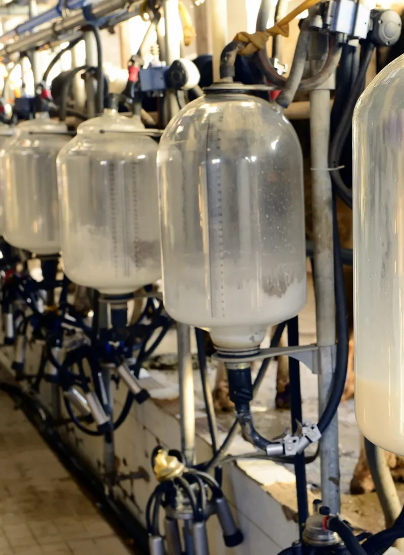 Devon & Cornwall Dairy Engineer